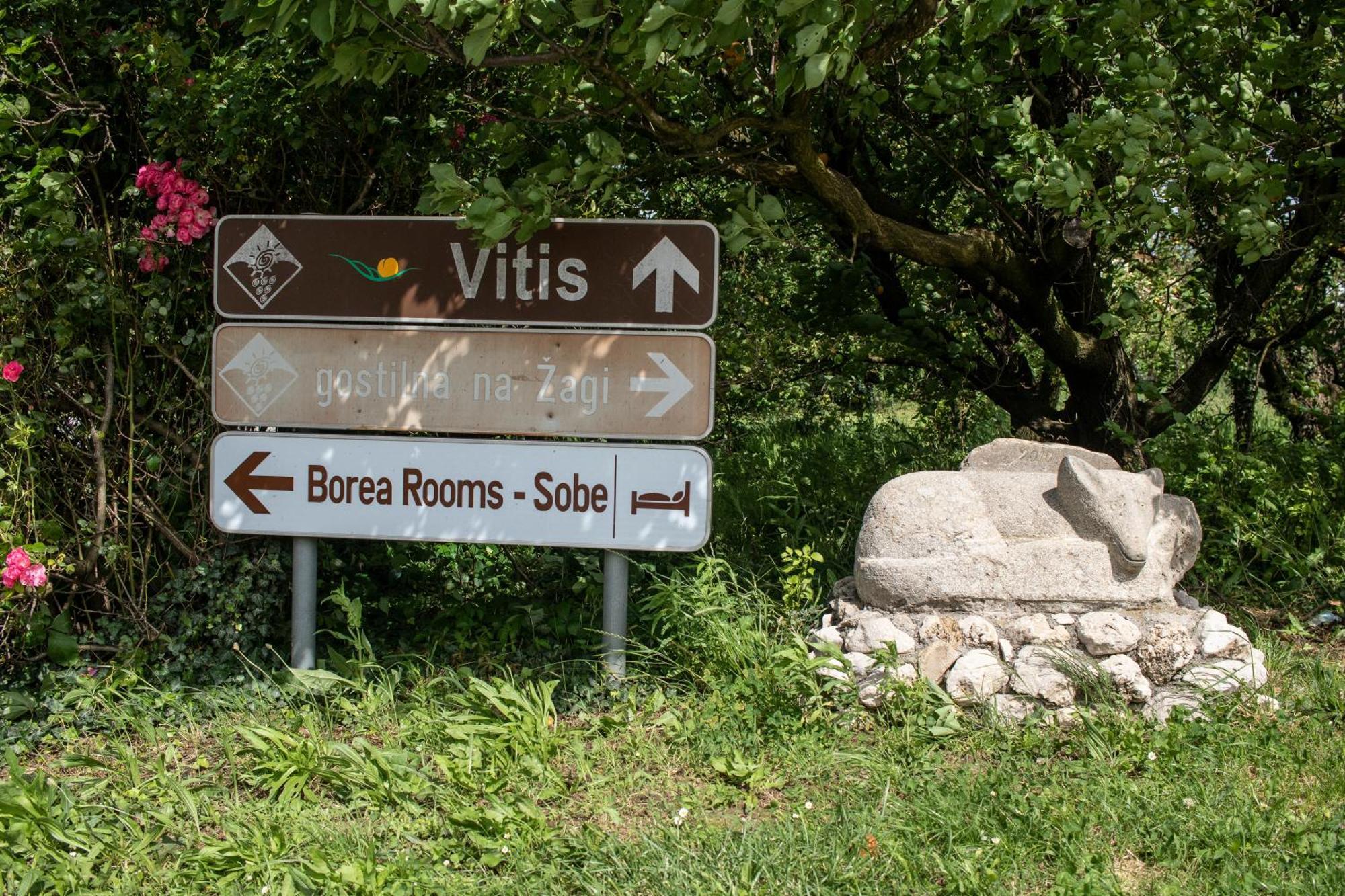 Borea Rooms - Sobe Budanje Vipava Bagian luar foto