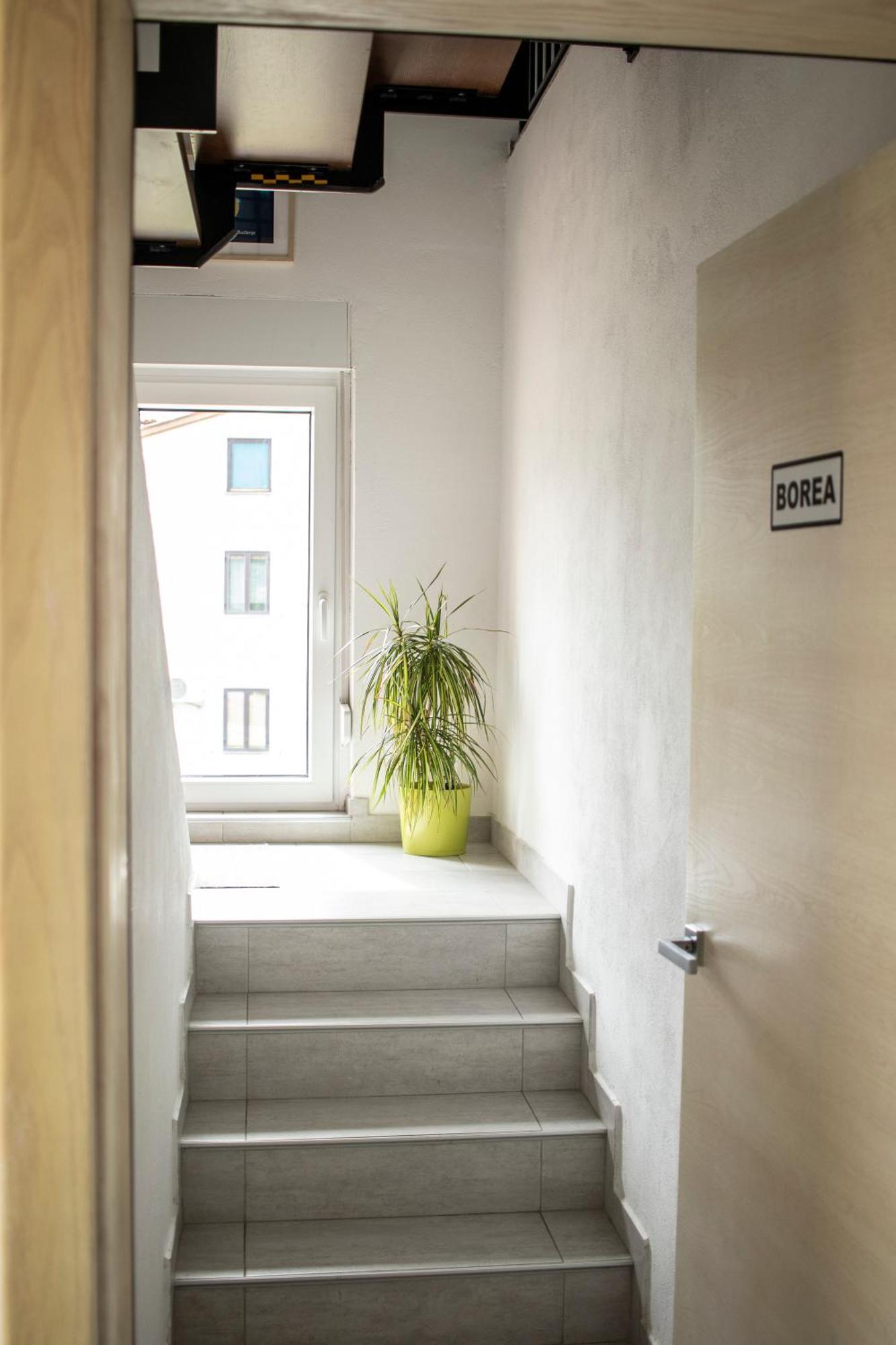Borea Rooms - Sobe Budanje Vipava Bagian luar foto