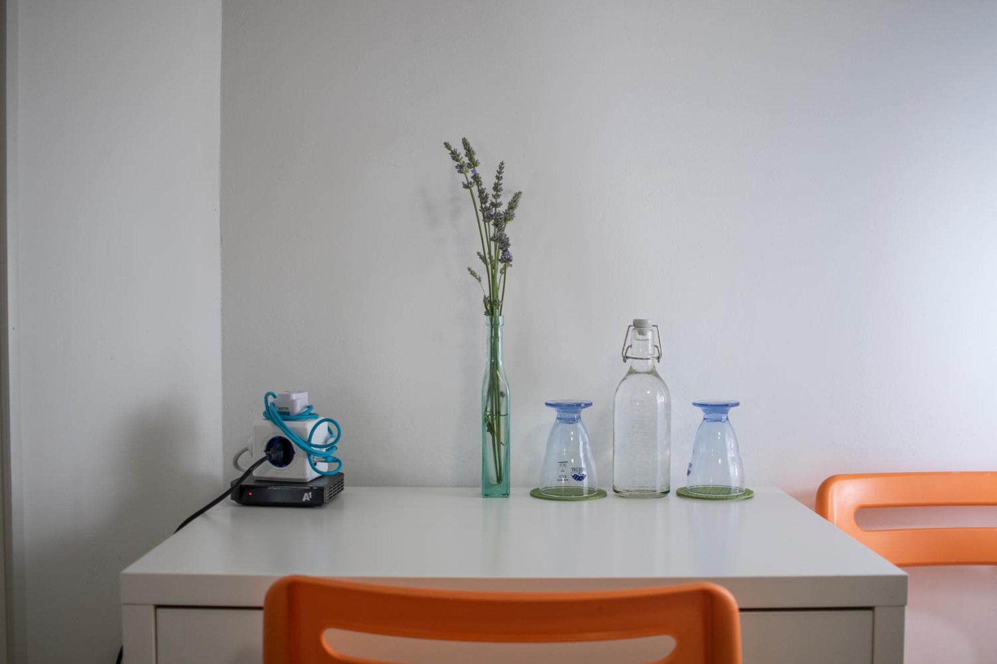 Borea Rooms - Sobe Budanje Vipava Bagian luar foto